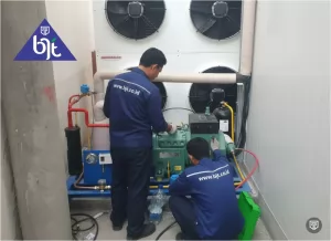 Mengenal Cold Storage